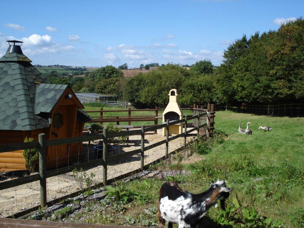 Greyfield Farm Cottages Farmborough Esterno foto