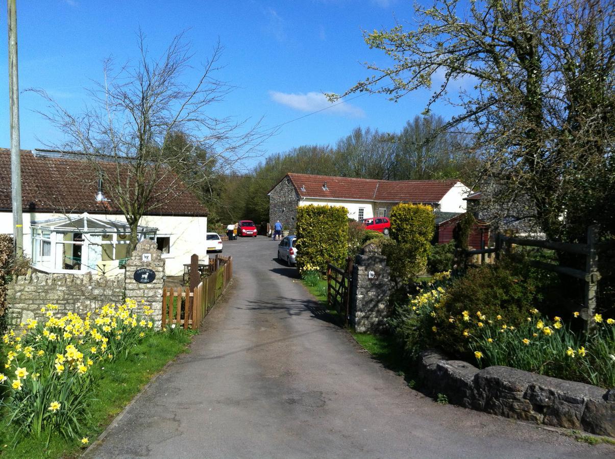 Greyfield Farm Cottages Farmborough Esterno foto